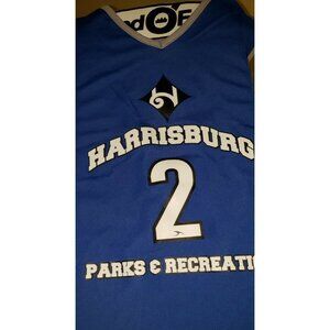 HARRISBURG PARKS & REC basketball jersey #2 land o' frost YOUTH L reversible  B4